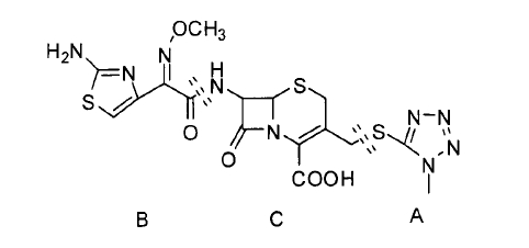 分子機構(gòu)式